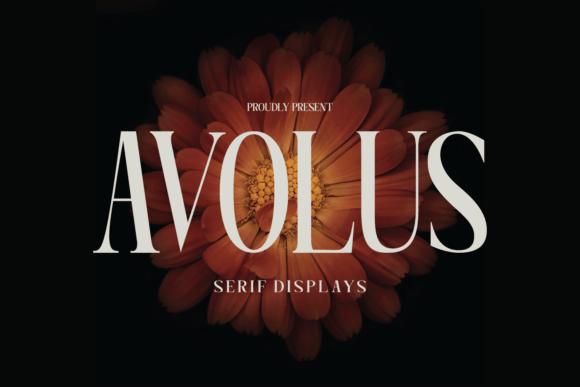Avolus: The Display Typeface That Elevates Your Small Business Brand
