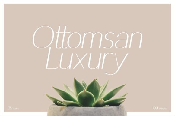 Ottomsan: A Designer's Real-World Review